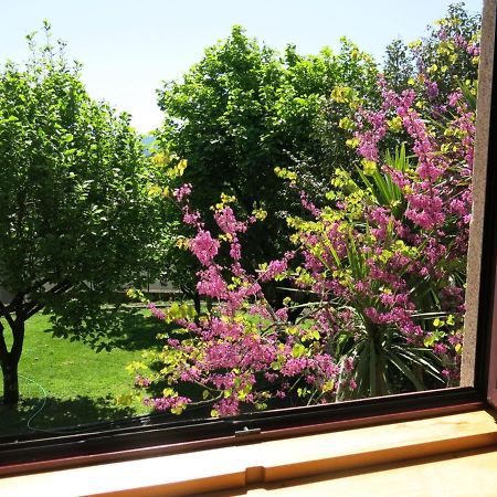 Casa Dos Tinocos Villa Braga Ngoại thất bức ảnh