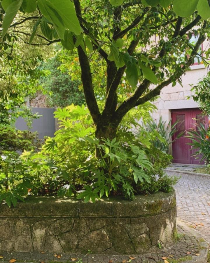 Casa Dos Tinocos Villa Braga Ngoại thất bức ảnh